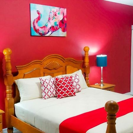 Casa Tamar Guest Apartment 킹스톤 외부 사진